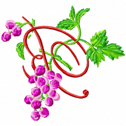Grapes Embroidery Design 9 Grapes Embroidery Design 9
